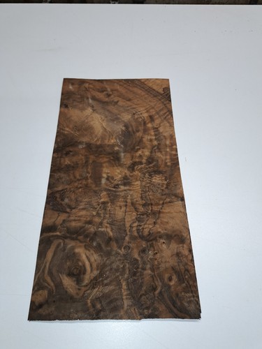 Burr walnut veneer - walnut, natural