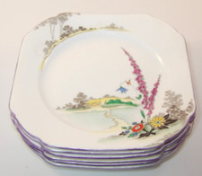 6 Shelley Foxglove 18626