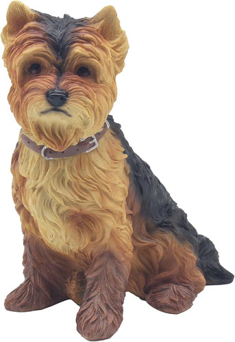 Yorkshire terrier sitting dog - yorkshire,