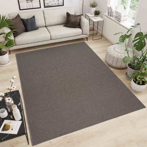 Rugs for living - rugs, room