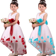 Flower Girl Pageant Wedding Dance Party Petal Dress