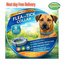 Adjustable Anti Flea and Tick