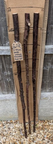 Blackthorn walking sticks - walking,