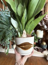 Vintage 70s West German