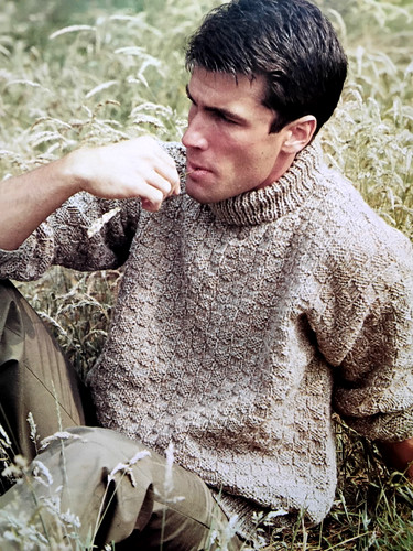 Robin vintage knitting pattern - robin,