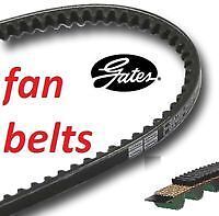 Gates belt 10mm 1050mm fan - v-belt,