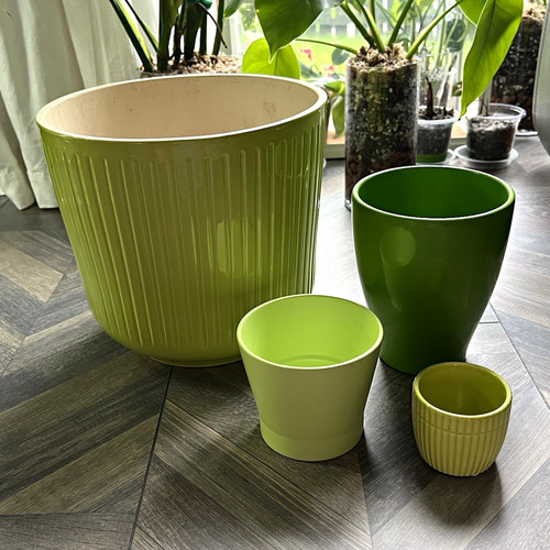 Set 4 ceramic - 🌱, plant