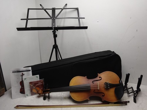 Hallstatt violin - hallstatt,