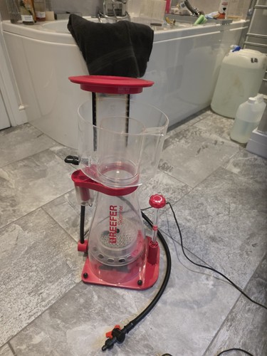 Red sea rsk - 600, protein