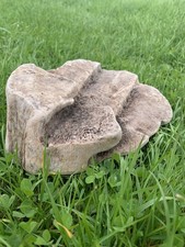 Natural Driftwood Vivarium -Terrarium - Aquarium  