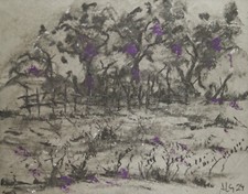 Chalk coal drawing fruit trees