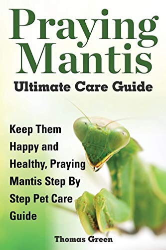 Praying mantis ultimate - praying,