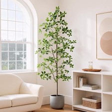 Artificial Black Olive Tree in Pot with Lifelike Leaves For Auction 180cm 1 Pack