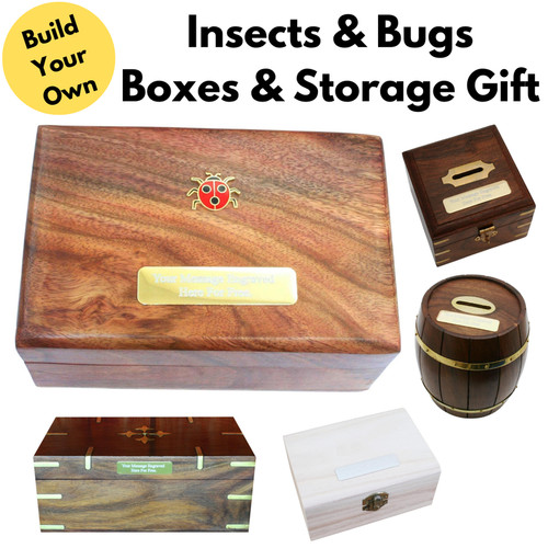 Insects bugs wooden - insects, &