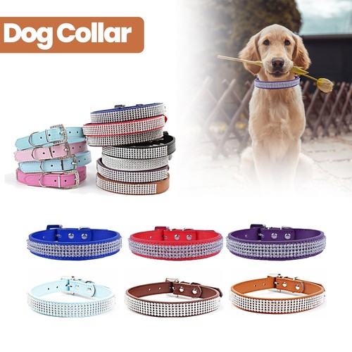 Dog collar leather - dog,