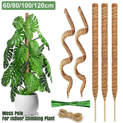100cm moss pole climbing - moss,