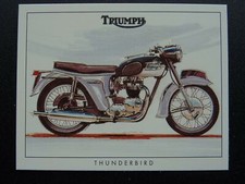 Triumph Motorcycles Series - THE TRIUMPH THUNDERBIRD 6T by Golden Era