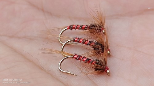 Nemo cruncher size 12 - x,
