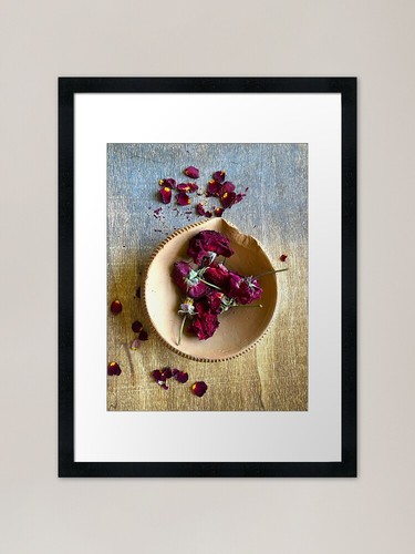 Dry roses photography framed - roses,