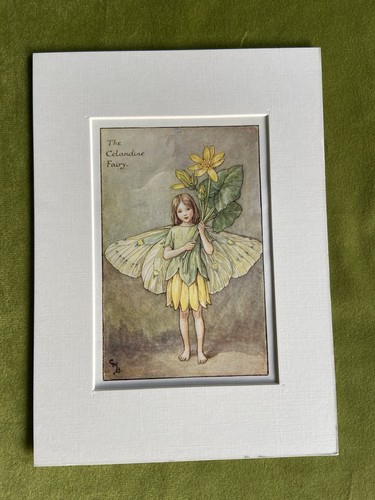 Celandine flower fairy - ‘celandine’,
