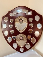 🏆 Big Trophy Shield 14”