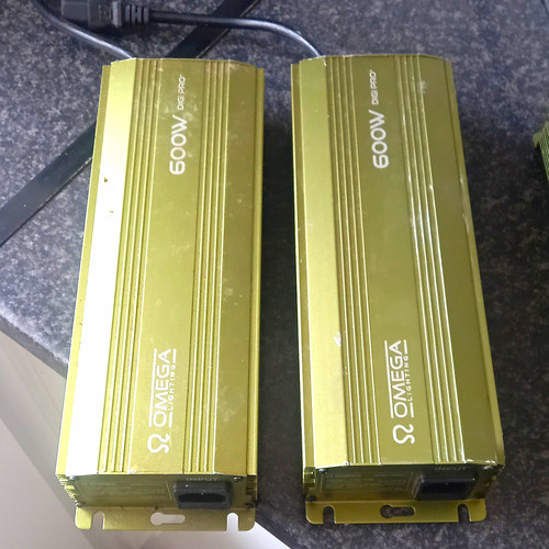Omega 600w electronic dimmable - electronic,