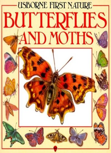 Butterflies and moths usborne - moths, (usborne