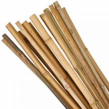 3ft-7ft Bamboo Wooden Plant