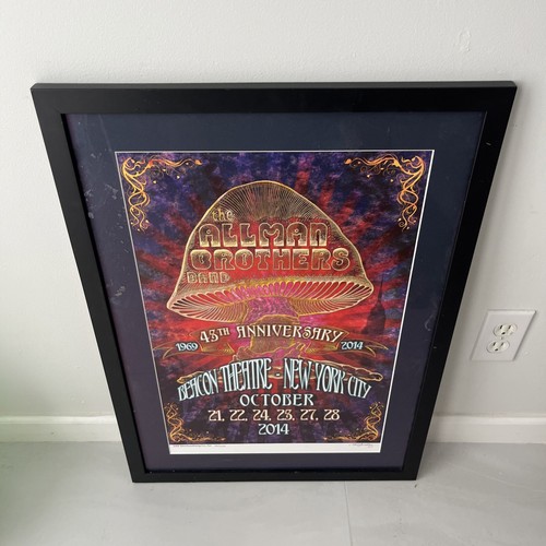 Allman brothers 2014 beacon - allman,