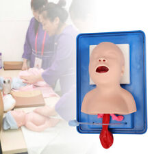 Lab Airway Intubation Manikin