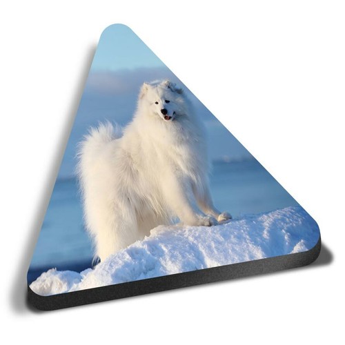 Triangle mdf magnets - magnets,