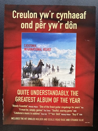 Catatonia international - -,