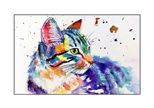 Print cat kitten from - a4,