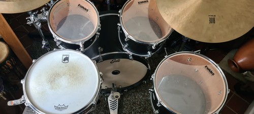 Design shell pack - dw, studio