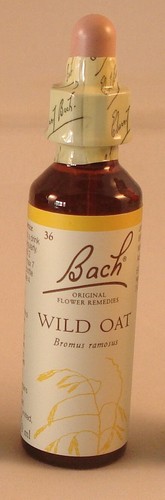 Bach flower remedies wild - bach,