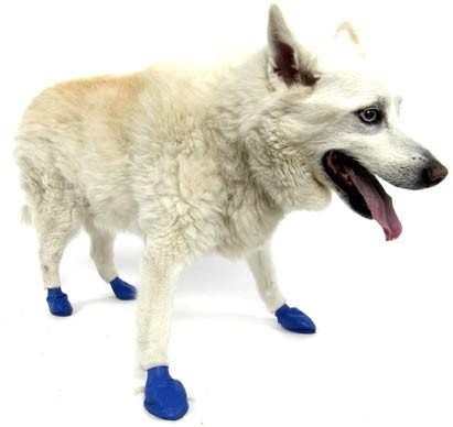 Pawz natural rubber dog boots - natural,