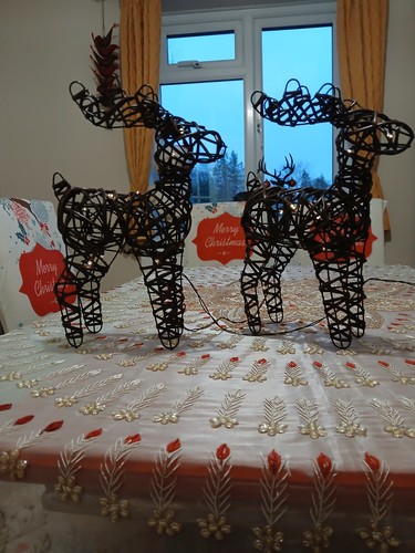 Reindeer duo christmas - reindeer,
