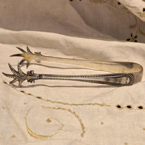 Silver plated claw style sugar - plated, claw_style