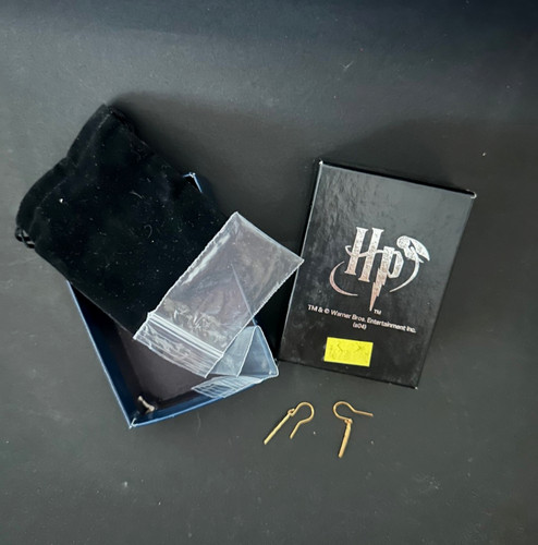 Harry potter earrings - harry,