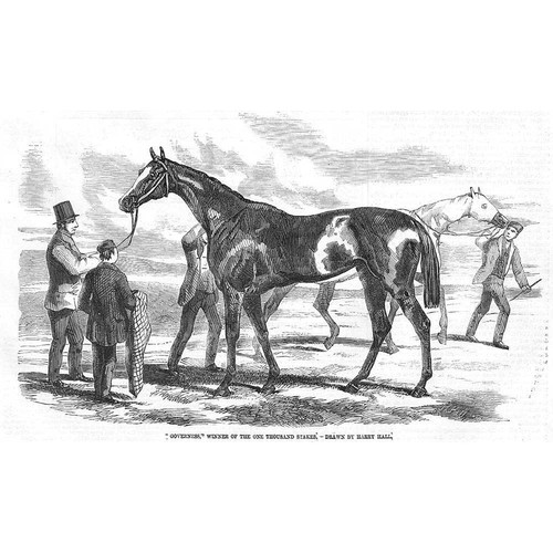 Horse racing governess winner - governess,