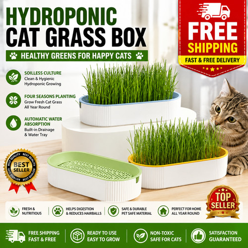 Cat grass growing kit - cat,