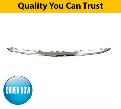 2010 front bumper grille lower - 2010-front,