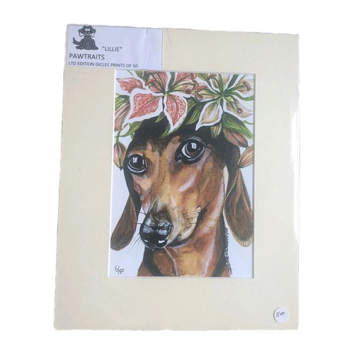 Ltd edition pawtraits dog - edition,