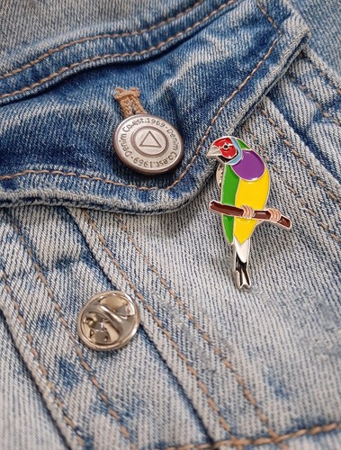 Gouldian finch garden bird - gouldian,