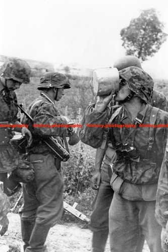 F019719 resting waffen - resting,