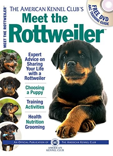 Meet the rottweiler akc - rottweiler, (akc