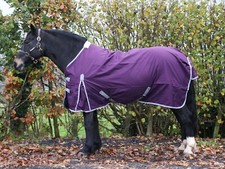 No Fill Lightweight Horse Rug Turnout Horse Rug Standard Neck 600D Waterproof