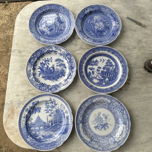 Spode the blue - the, room