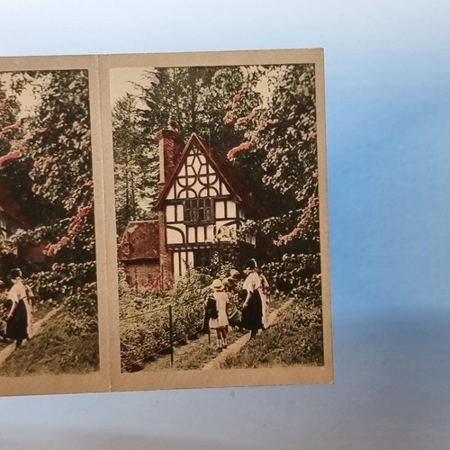 Cavanders cigarette card - cavanders,