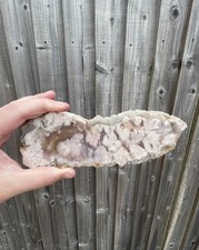 LARGE Flower Agate SLAB SLICE